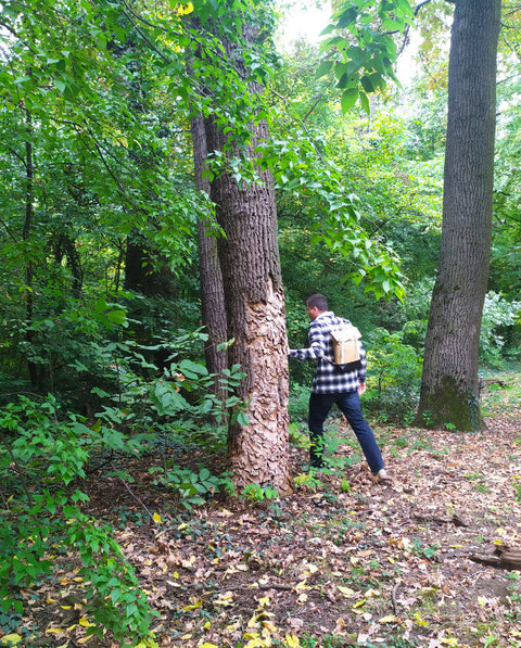 paper backpack on a guy in the forest